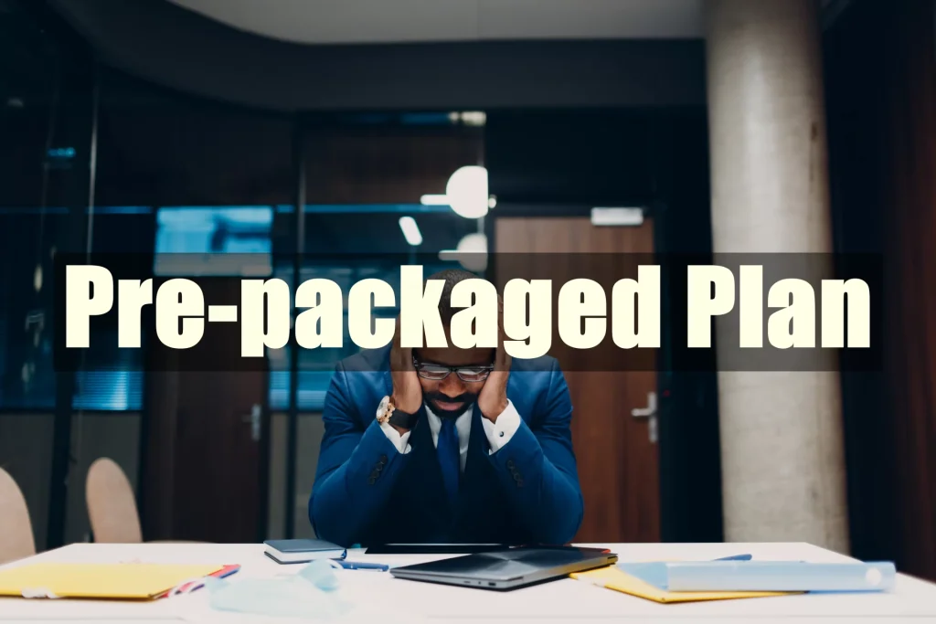 P플랜 (Pre-packaged Plan) - IT Insights